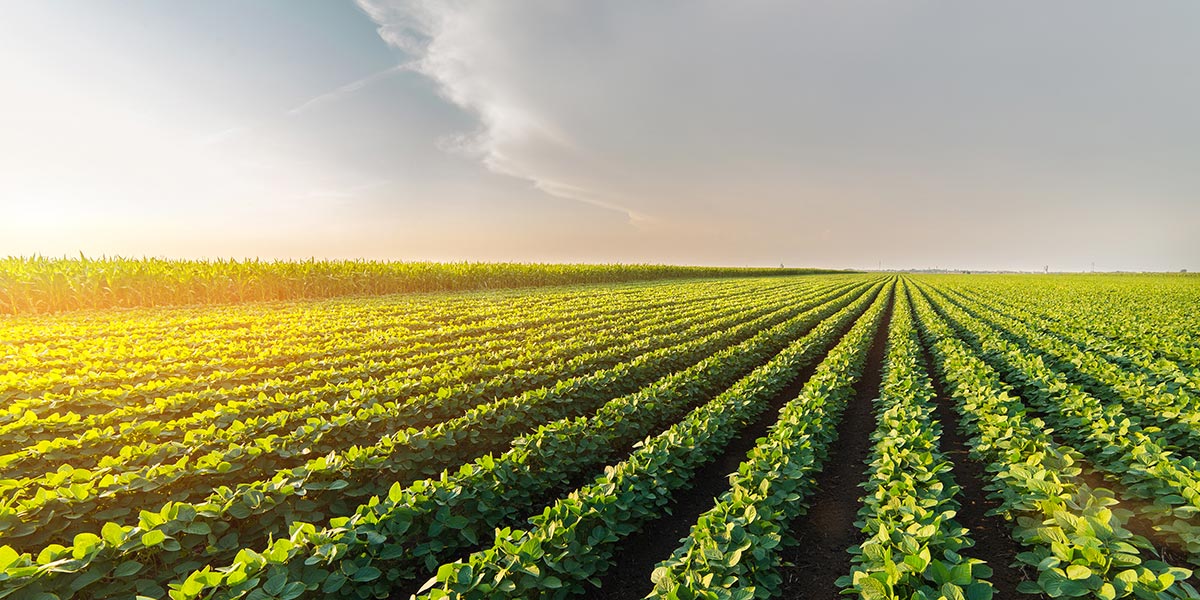 VIDEO Manufacturing & Agriculture Tax Credit a Catalyst for New Jobs